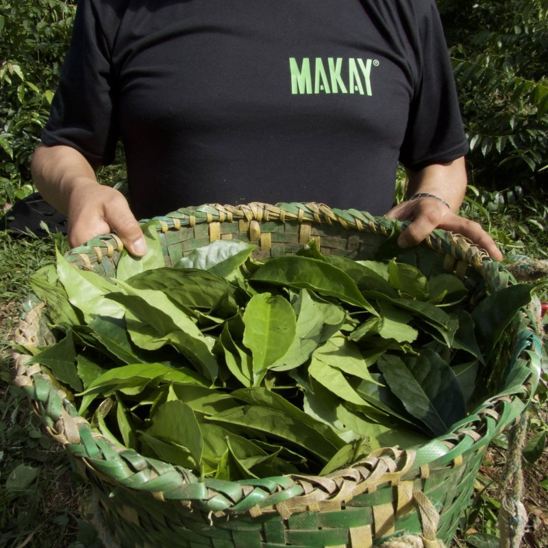 Amazonian Kichwa Communities 3